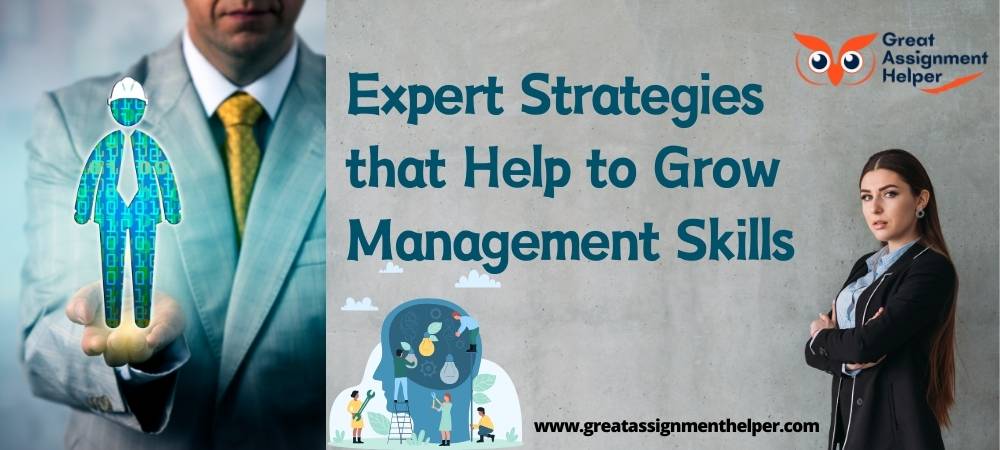 Expert Strategies that Help to Grow Management Skills
