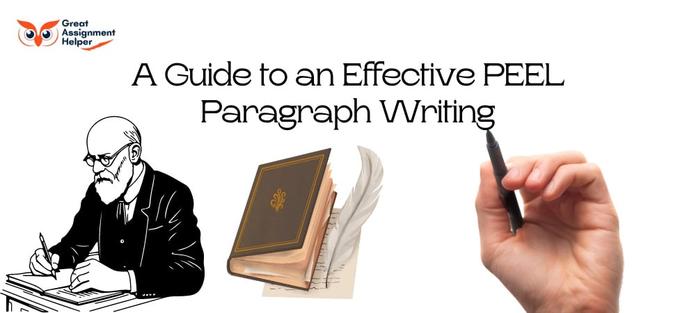 A Guide to an Effective PEEL Paragraph Writing